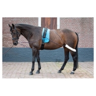 Harry's Horse longeerhulpteugel
